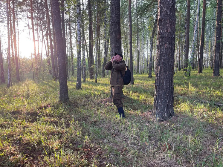 От заблудившихся в Свердловском лесу 10-летней Вики и 12-летнего Гриши нет вестей уже три дня