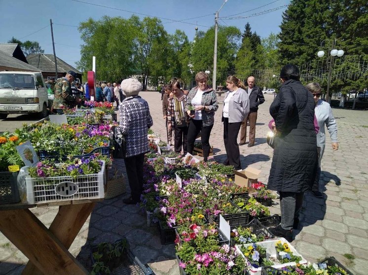 Товаров на 68 млн рублей купили забайкальцы на ярмарках в мае