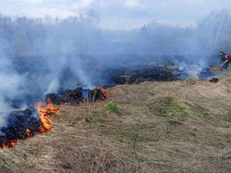 С 8 по 10 июня в Подмосковье сохранится повышенная угроза пожаров
