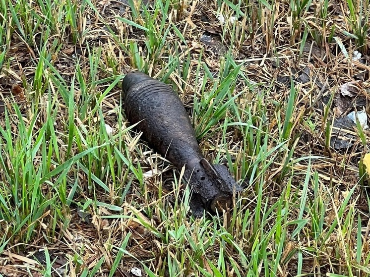 «Эхо войны» прозвучало в Руднянском и Демидовском районах