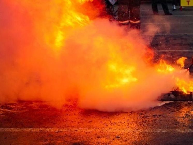 Крупное возгорание ликвидировали пожарные в Сергиевом Посаде