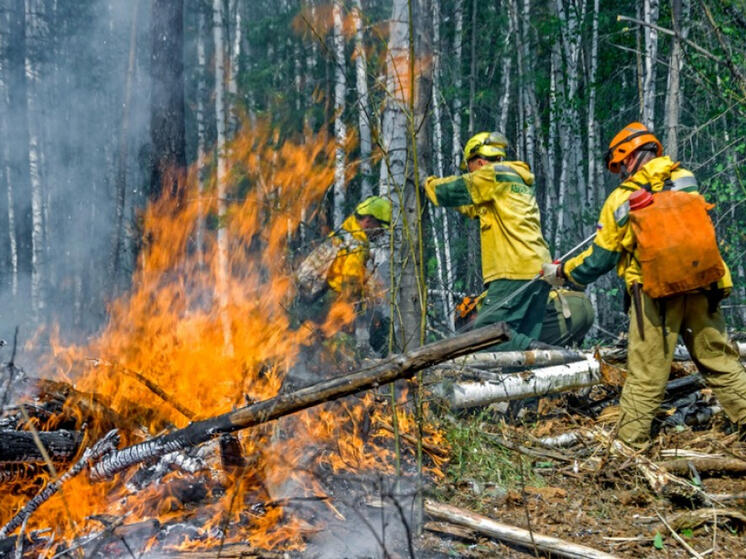 В Хабаровском крае горит более 6000 гектаров леса