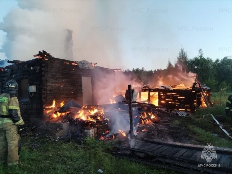 На пожаре в Выгоничском районе Брянщины погиб мужчина