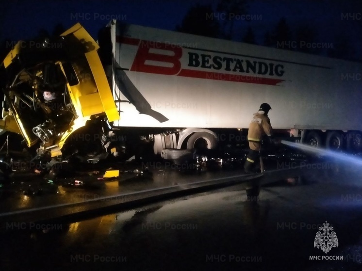 На трассе под Шумячами в столкновении двух фур погиб водитель