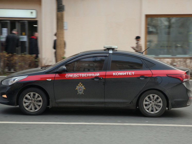 Маленький мальчик утонул в пруду в Ленобласти