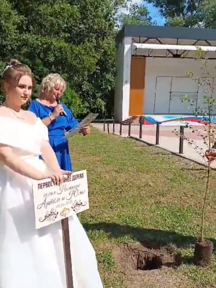 В Невинномысске появилась новая традиция в день свадьбы сажать березу