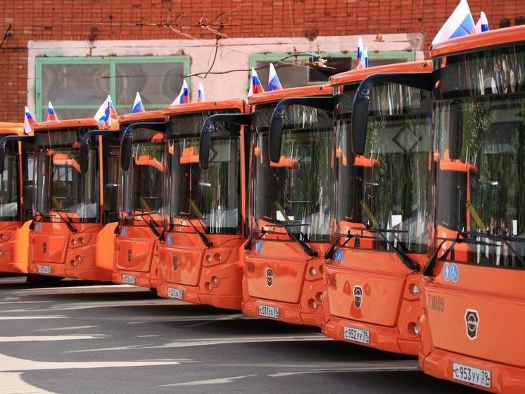 В Калининград прибыла вторая партия ЛиАЗов