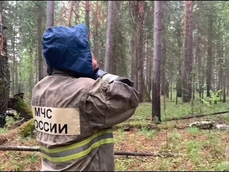 Мама найденных в лесу на Урале детей раскрыла трогательные подробности