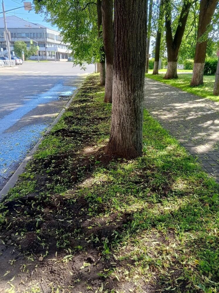 В Ярославле опять украли чугунную ограду на проспекте Ленина