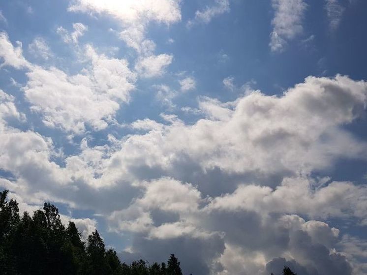 Небольшие осадки вероятны сегодня на юге Подмосковья