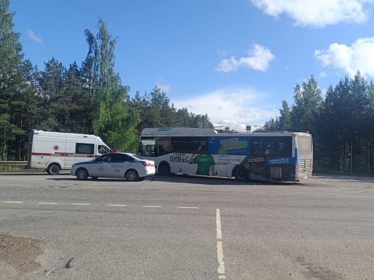 Возбуждено уголовное дело после ДТП с рейсовым автобусом в Ломоносовском районе