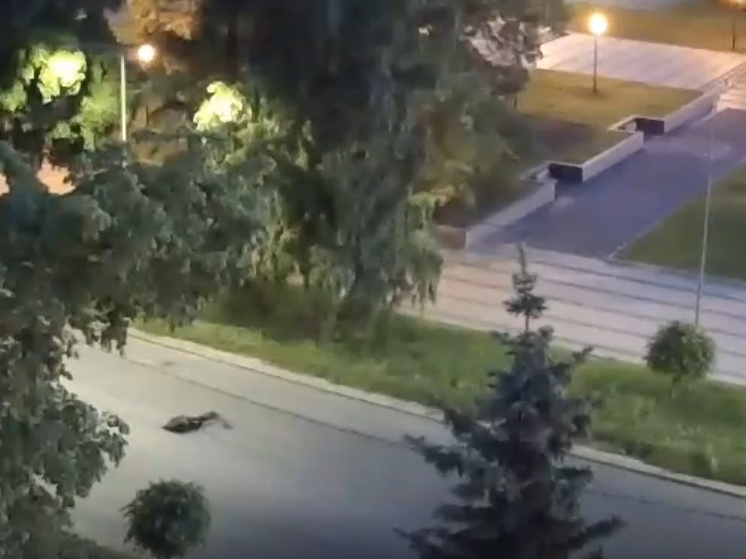 Скорая в Петрозаводске увезла самокатчика, упавшего в обморок