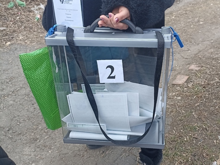 Депутаты из ДНР выступят наблюдателями на выборах в Южной Осетии