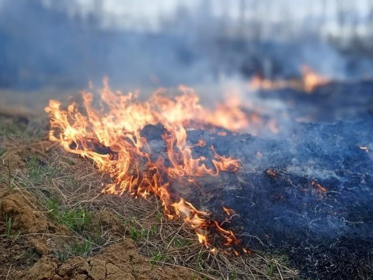 Огненный прогноз до 11 июня дали в Подмосковье