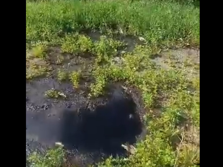 Машинное масло ручьем стекает в лес под Олонцом