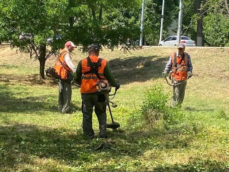 Масштабный субботник прошел в Мариуполе накануне Дня России