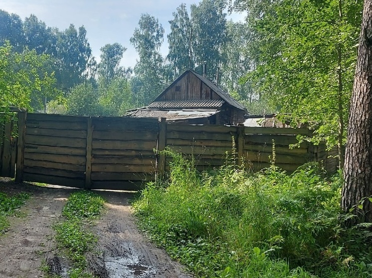 Дачи жителей Новосибирска одолели мифические существа с Алтая