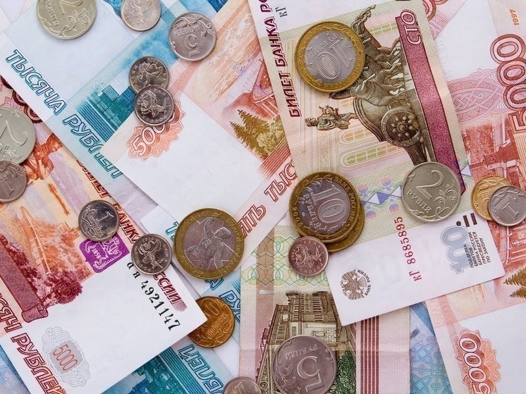 Часть жителей Алтайского края начнет платить налог на доходы по ставке 22 процента