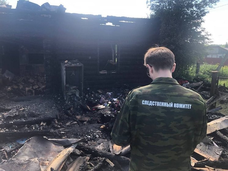 В Ярославской области при пожаре погибла женщина с двумя детьми