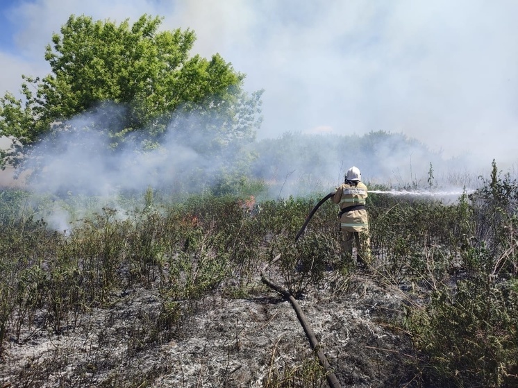 Под Курском потушили пожар возле кладбища на площади более 500 квадратных метров