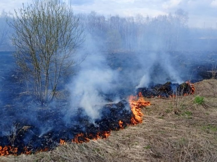 Огненный прогноз до 12 июня дали в Подмосковье