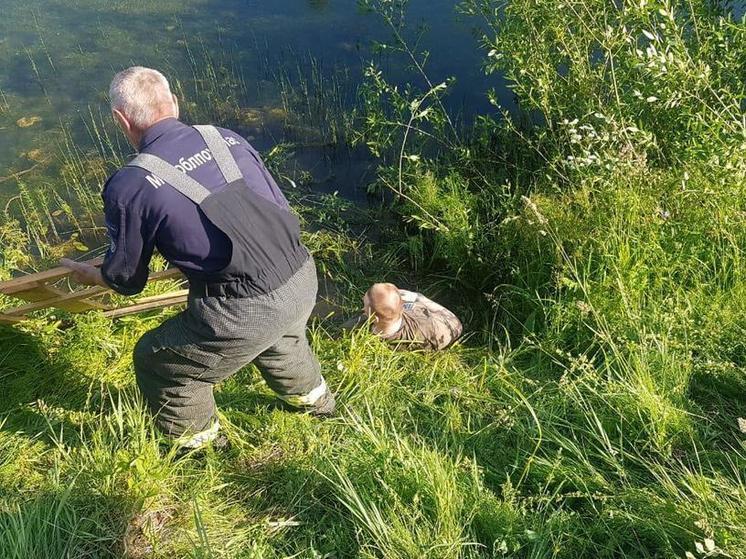В регионе спасли парня с ограниченными возможностями, упавшего в пруд