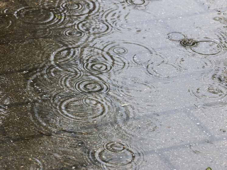Грозы и ливни вновь вернутся на этой неделе в Подмосковье
