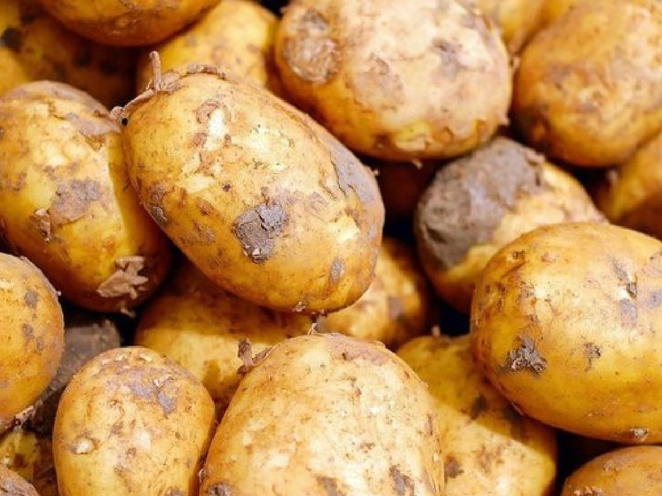 В Алтайском крае выросла цена на картофель