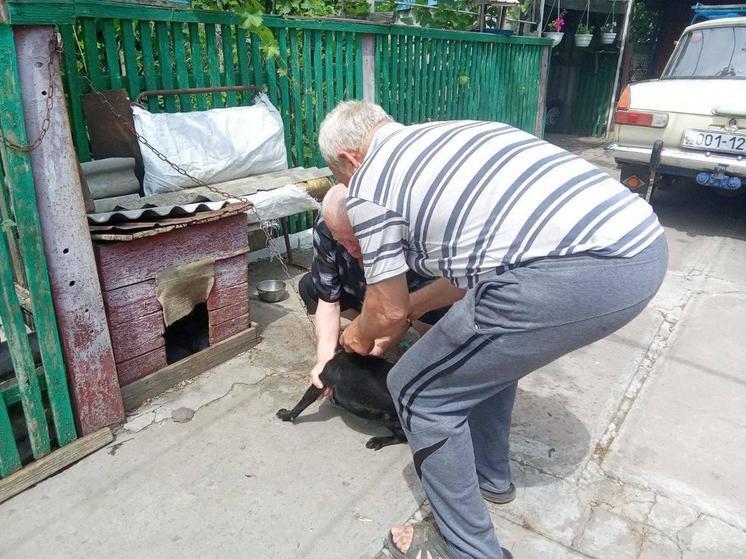 В Новотроицком округе вакцинировали животных от бешенства