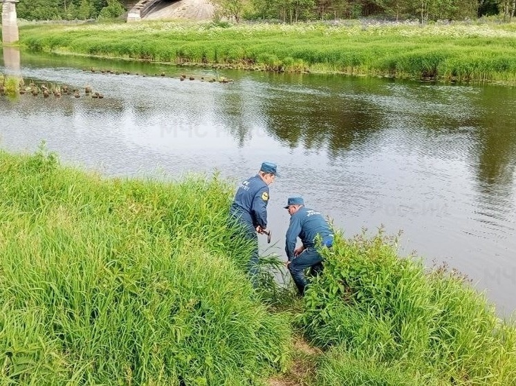В Угранском районе сотрудники МЧС нашли тело мужчины в реке