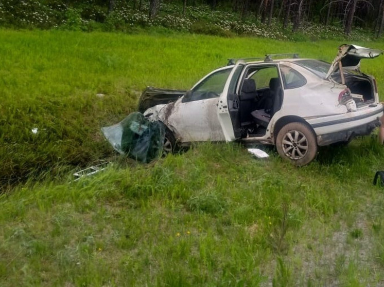 Два взрослых и подросток пострадали в аварии на трассе в Карелии
