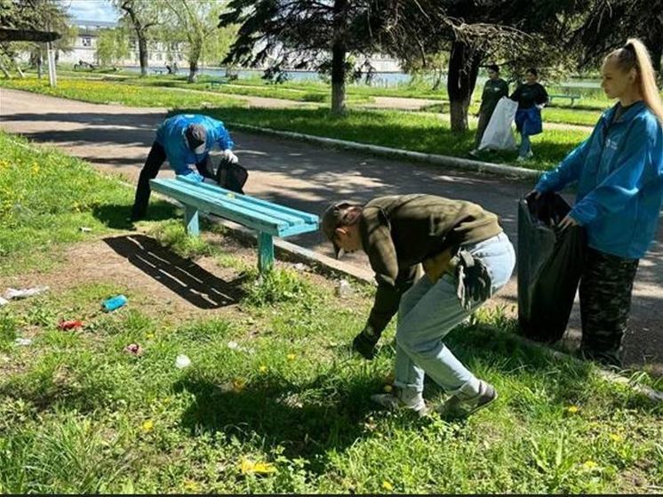 В Ленобласти подвели итоги субботника