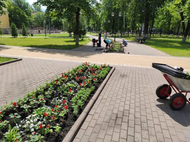 Три тысячи цветов украшают парки в Брянске