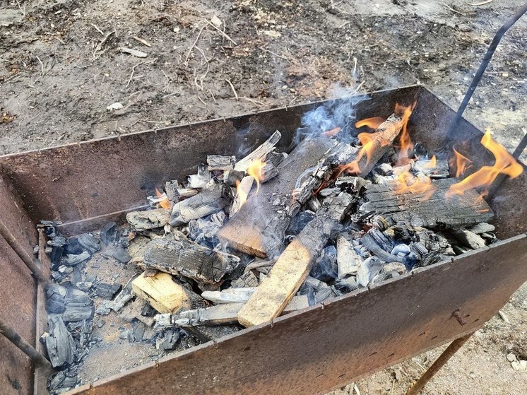 В Калининградской области не продлили особый противопожарный режим