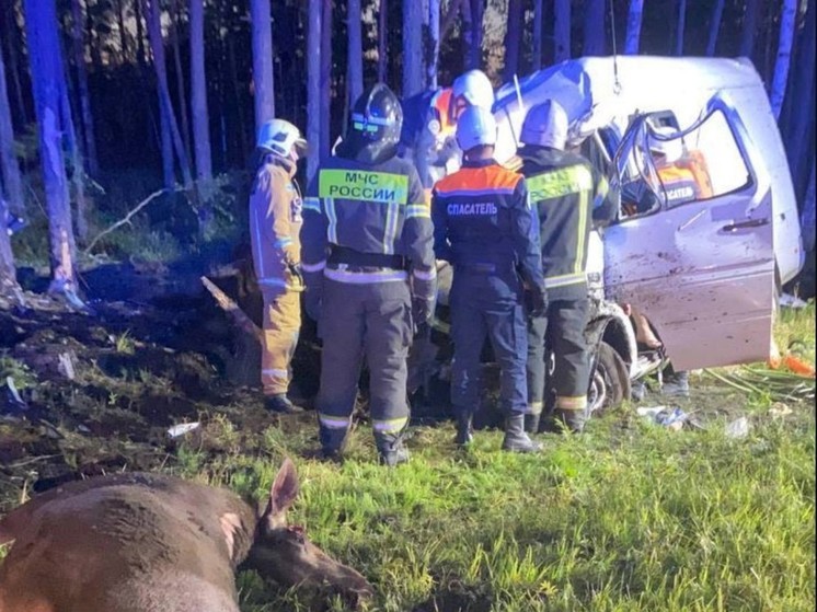 Аварийно-спасательная служба Псковской области 37 раз выезжала на происшествия