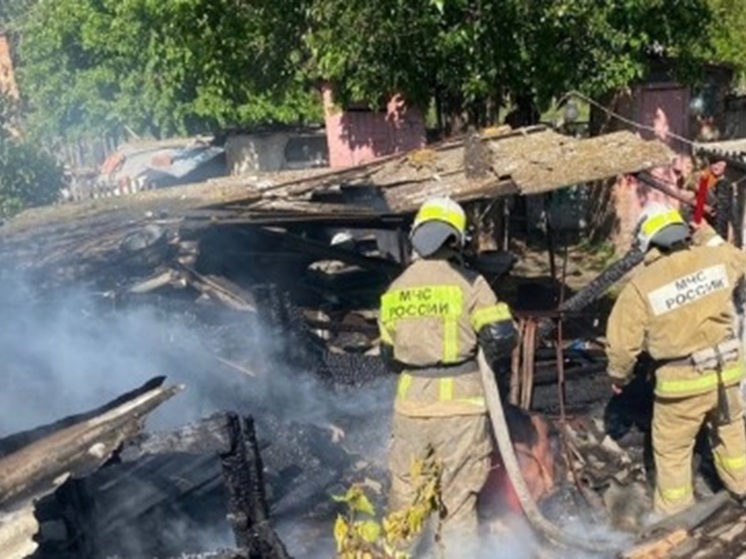 На прошедшей неделе в Калмыкии произошло 58 пожаров