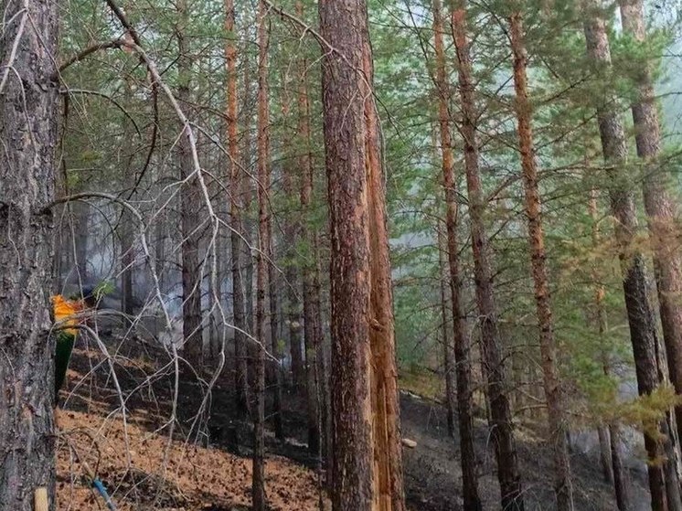 В Бурятии утихают лесные пожары