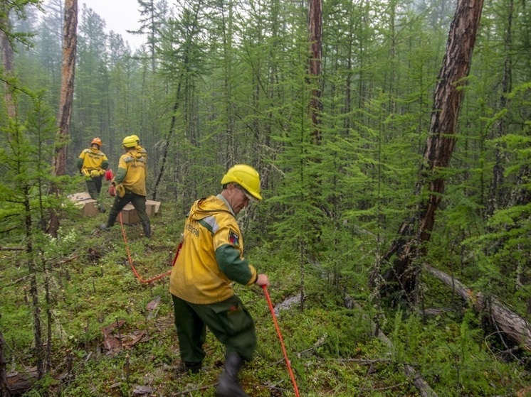 С начала пожарного сезона в Якутии потушили 72 лесных пожара