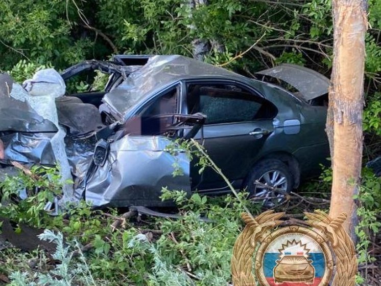 В Екатериновском районе Lifan врезался в дерево после съезда с дороги