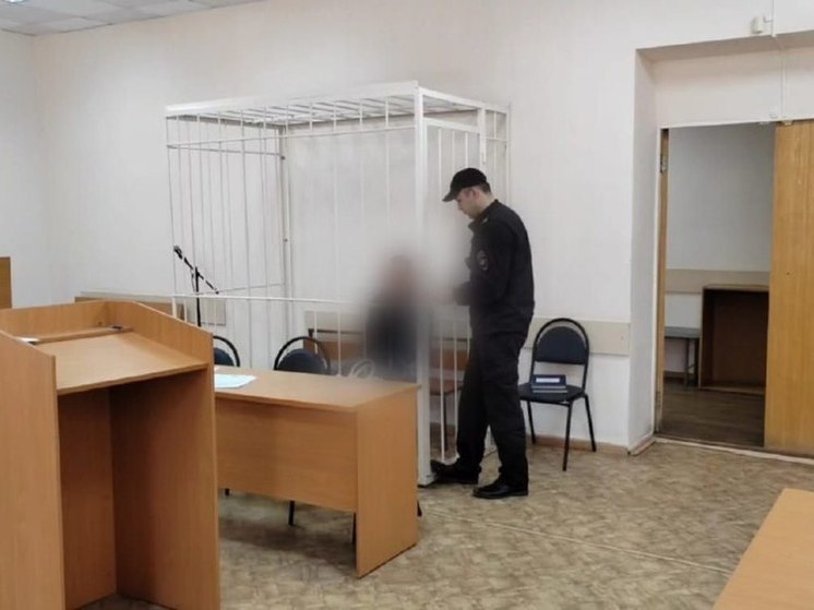 В Ярославской области избрана мера пресечения для водителя, насмерть сбившего 4-х летнего ребенка