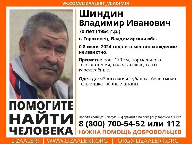 Во Владимирской области несколько дней не могут найти пенсионера в тельняшке