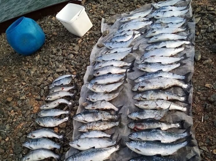 На Сахалине рыбоохрана нашла два брошенных бака с рыбой на 600 тысяч рублей