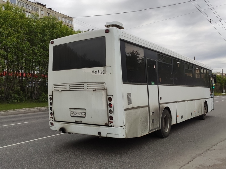 Автобусы из Никеля и Заполярного будут ездить по новому расписанию
