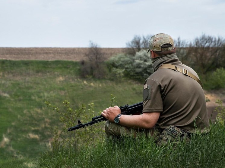 Пятерых жителей Алтайского края осудили за убийство лося
