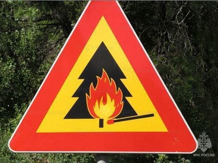 На Орловщине преобладает 2 класс пожарной опасности