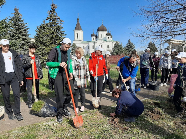 В Курской области Фатежское лесничество переименовали в Донецкое