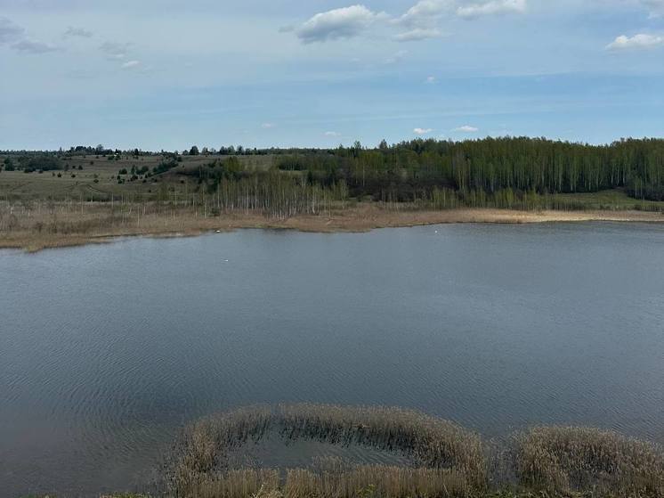 Безымянное озеро оказалось единственным пригодным для купания водоемом в Петербурге