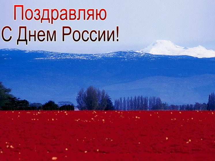 Триколоры и ромашки: 10 открыток с Днём России