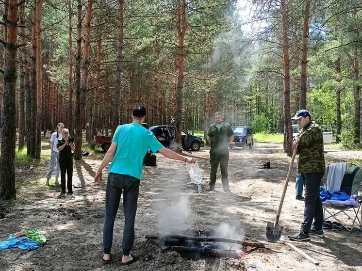 В лесах региона обнаружили 50 нарушений правил за 3 дня