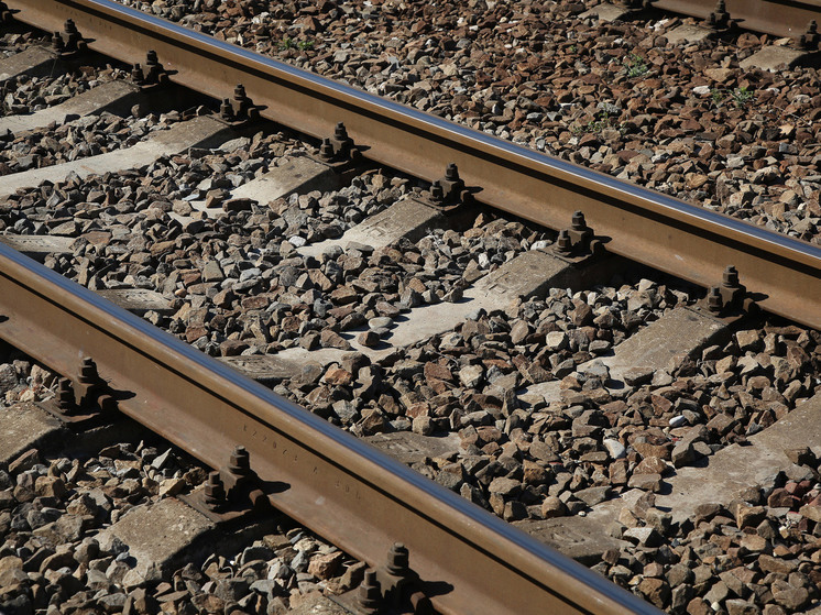 Экстренную остановку совершила электричка на станции «Перхушково»